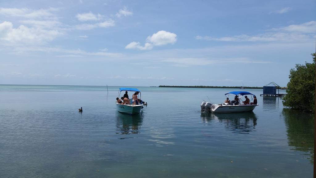 Go Slow Guesthouse Caye Caulker Extérieur photo